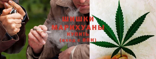 стаф Надым