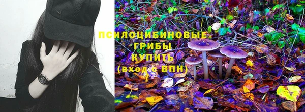 молекула духа Арсеньев