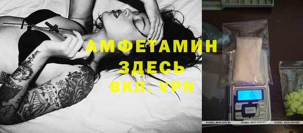 молекула духа Арсеньев