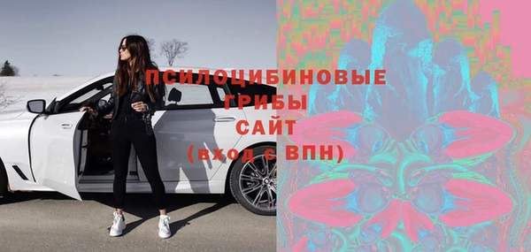 молекула духа Арсеньев